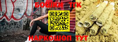 гидра Краснознаменск