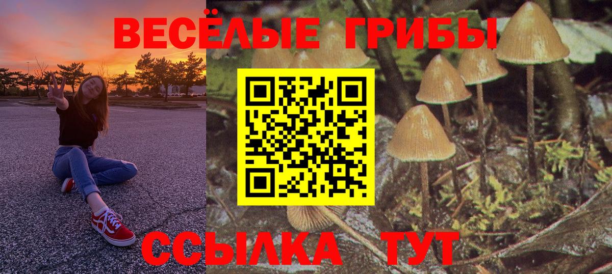 Железноводск  Галлюциногенные грибы Cubensis  Вход с VPN 