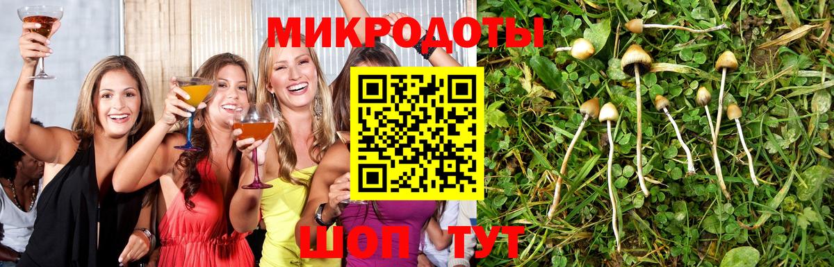 Псилоцибиновые грибы ЛСД Железноводск